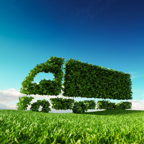 write about case study on cng vehicles in delhi